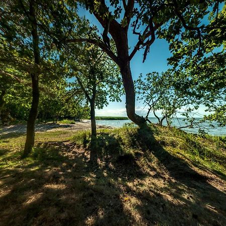 Traumhaff Historischer Kahnschifferhof Mit Kamin, Liebevoll Restauriert Vogelsang-Warsin Exterior foto